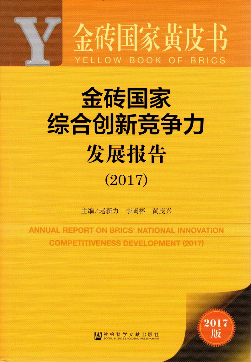 要大鸡巴插逼逼的视频金砖国家综合创新竞争力发展报告（2017）